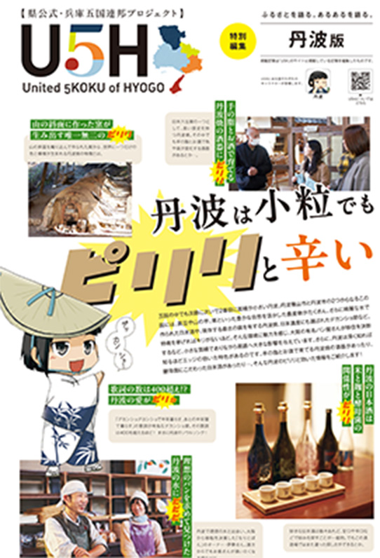丹波版